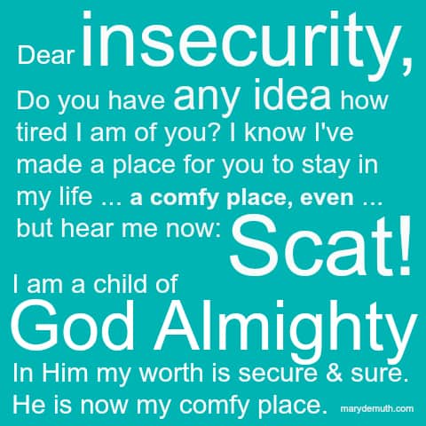 insecurity