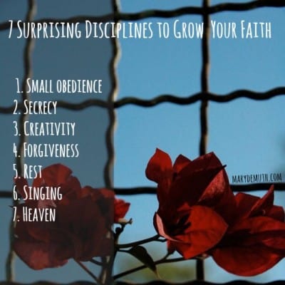 7 Disciplines That Grow You – 28