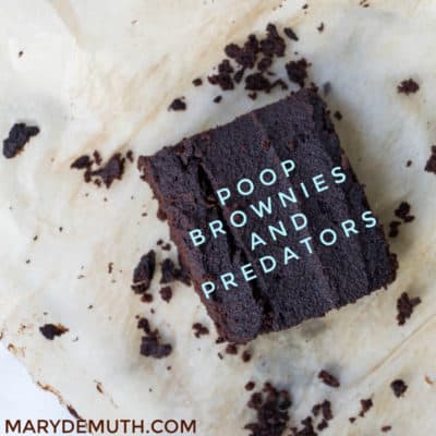 Poop Brownies and Predators