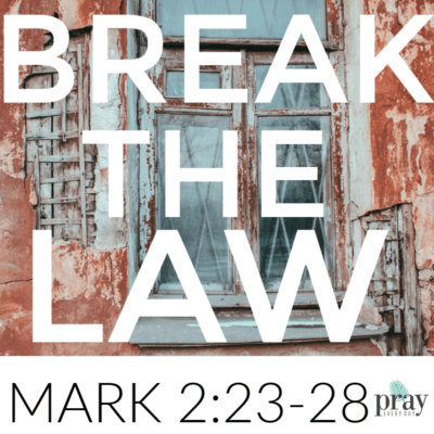 Mark 2:23-28