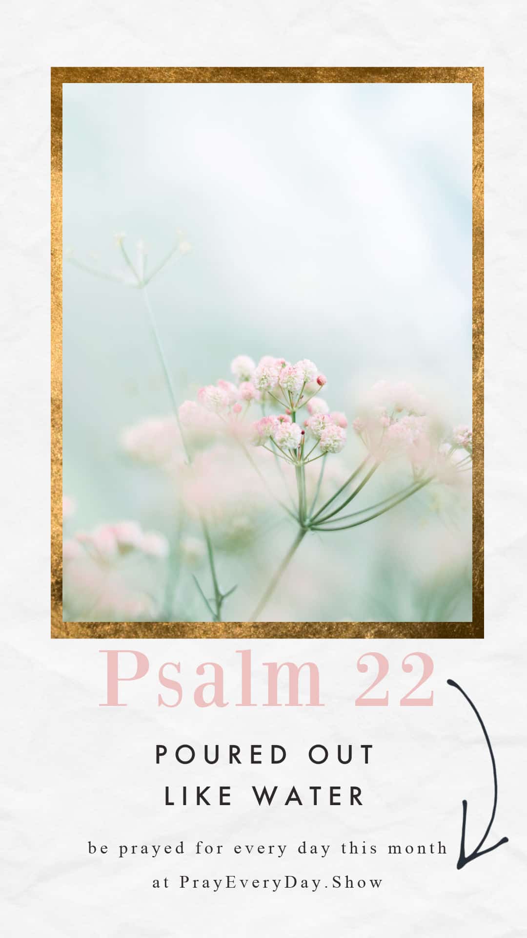 Psalm 22 Mary DeMuth